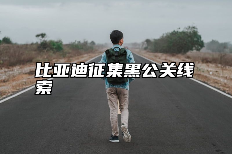 比亚迪征集黑公关线索