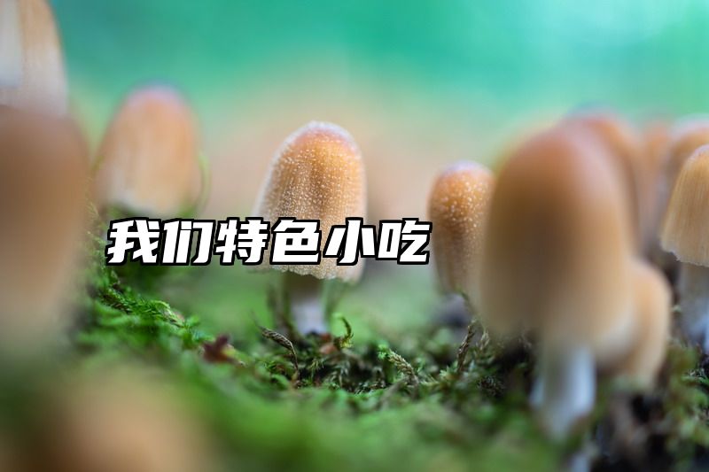 我们特色小吃