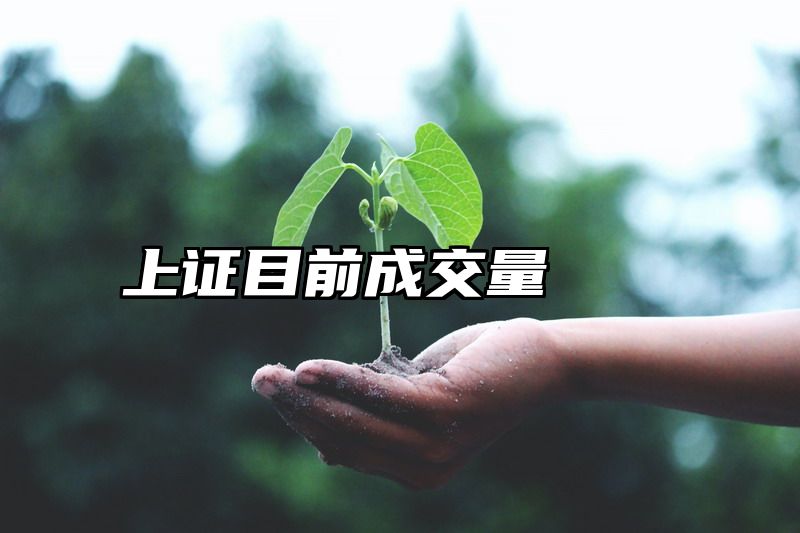 上证目前成交量