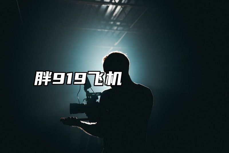 胖919飞机