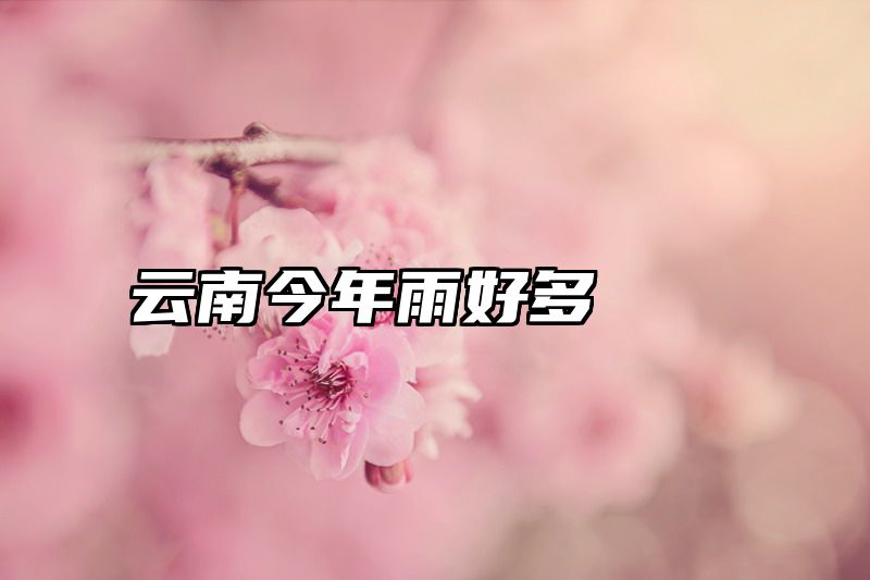 云南今年雨好多