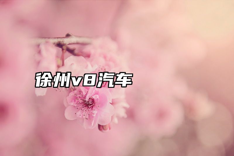 徐州v8汽车