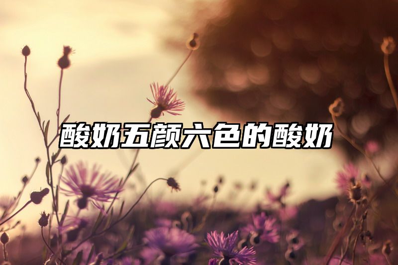 酸奶五颜六色的酸奶