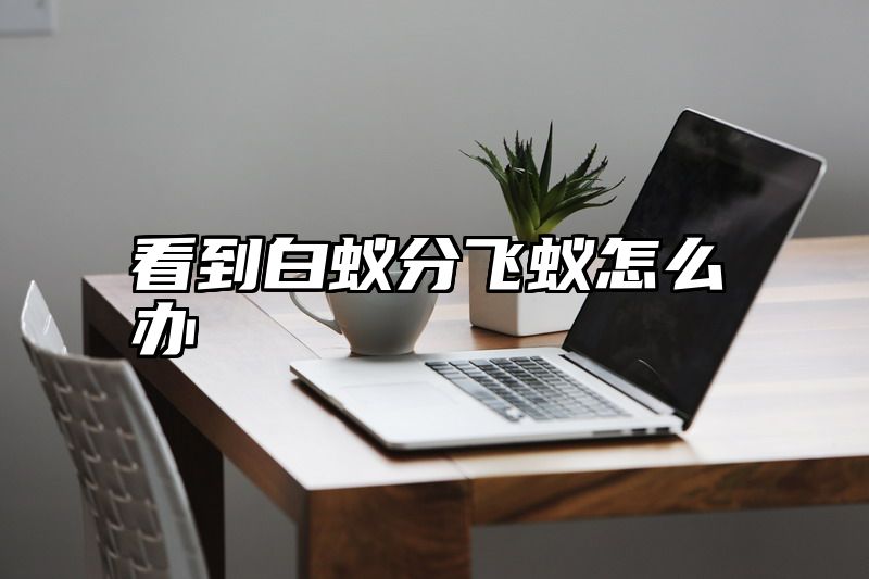 看到白蚁分飞蚁怎么办