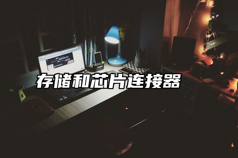 存储和芯片连接器