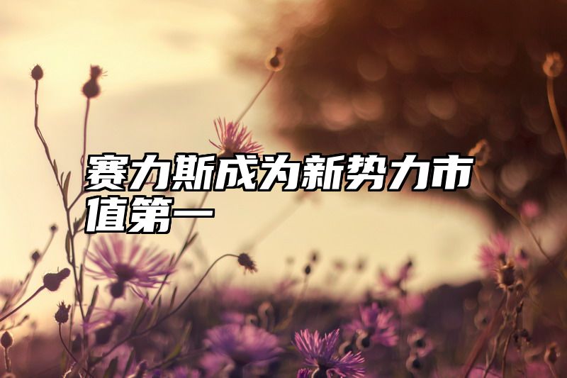 赛力斯成为新势力市值第一