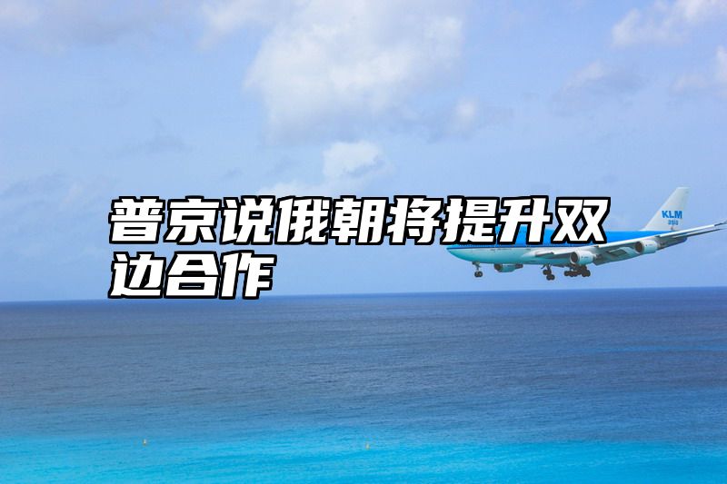普京说俄朝将提升双边合作