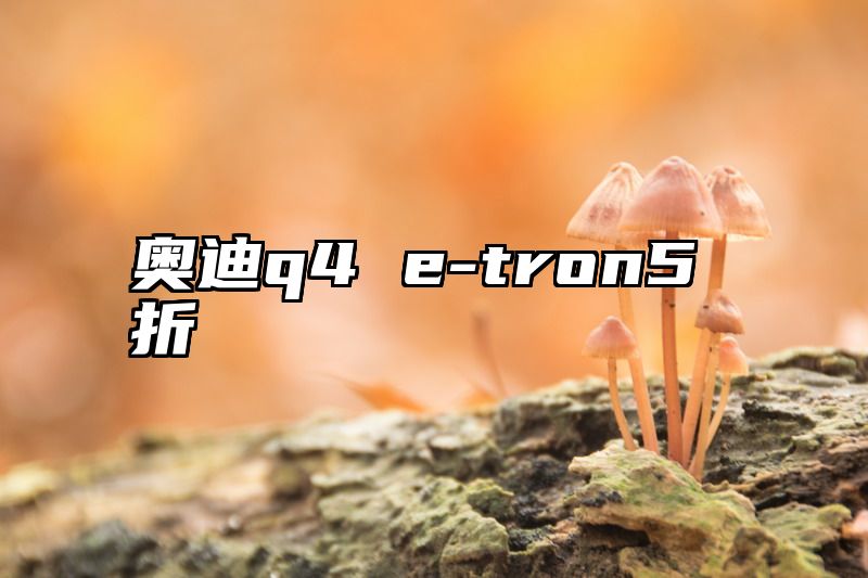 点击查看《奥迪q4 e-tron5折》全文