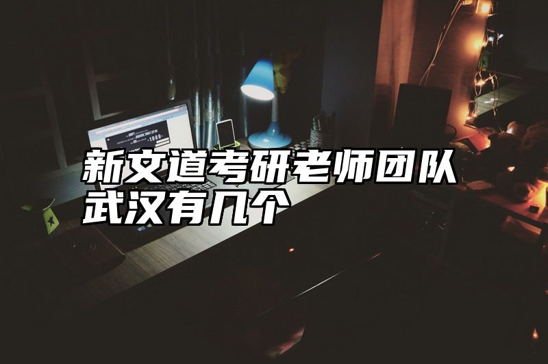 新文道考研老师团队武汉有几个