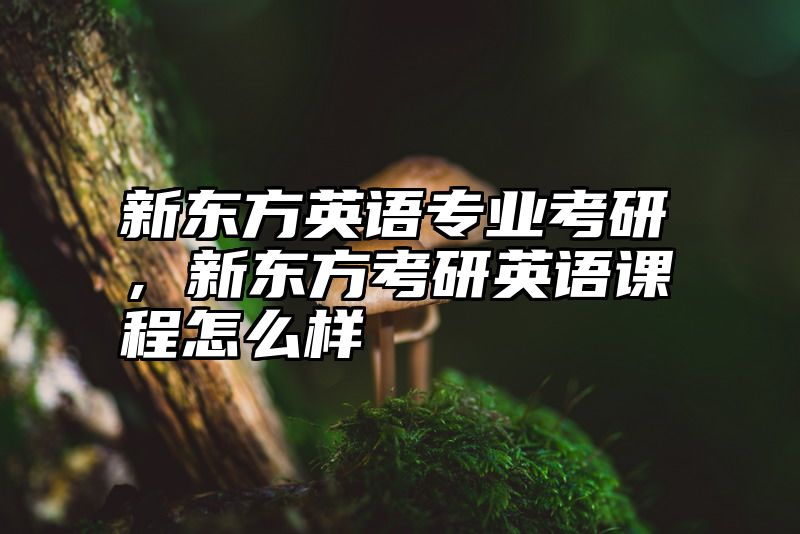 新东方英语专业考研，新东方考研英语课程怎么样