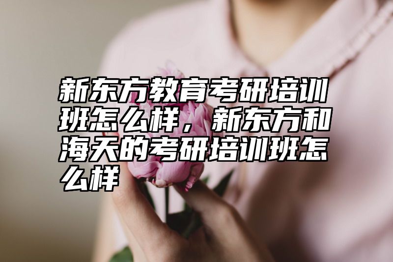 新东方教育考研培训班怎么样，新东方和海天的考研培训班怎么样