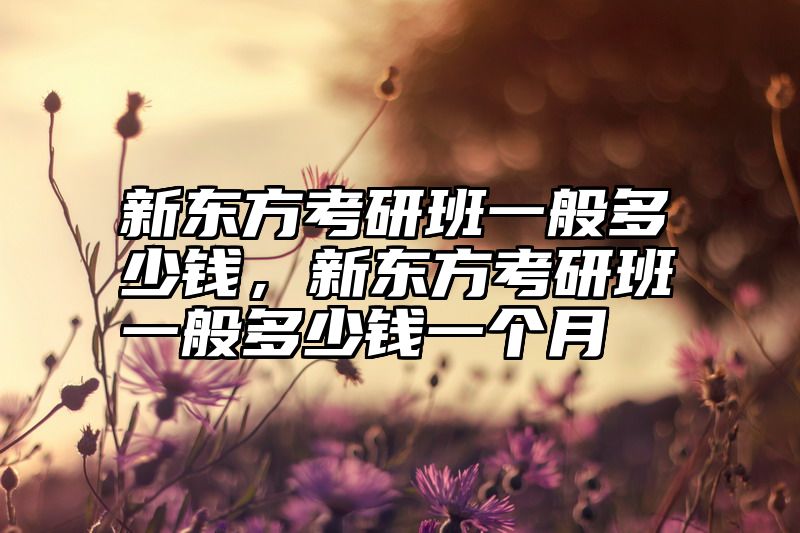 新东方考研班一般多少钱，新东方考研班一般多少钱一个月