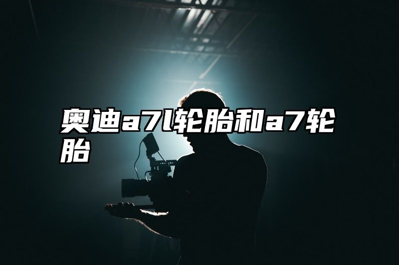 点击查看《奥迪a7l轮胎和a7轮胎》全文