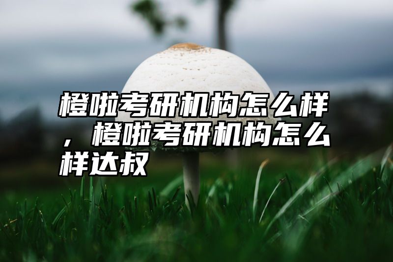 橙啦考研机构怎么样，橙啦考研机构怎么样达叔
