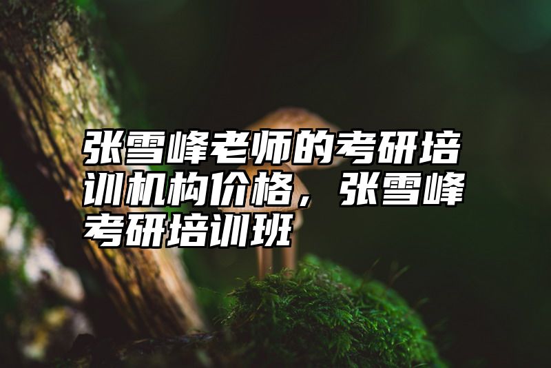 张雪峰老师的考研培训机构价格，张雪峰考研培训班
