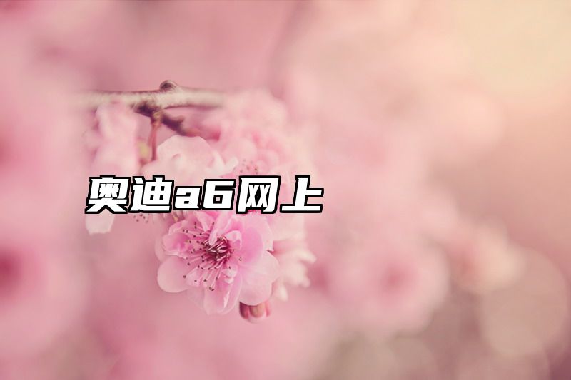 点击查看《奥迪a6网上》全文