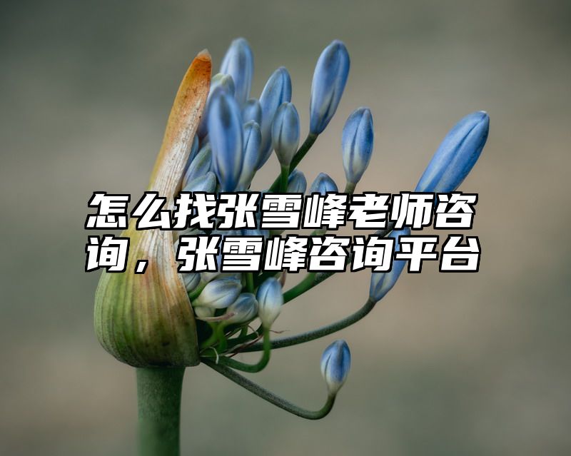 点击查看《怎么找张雪峰老师咨询,张雪峰咨询平台》全文