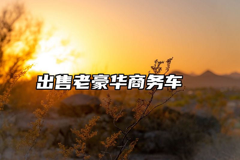 出售老豪华商务车