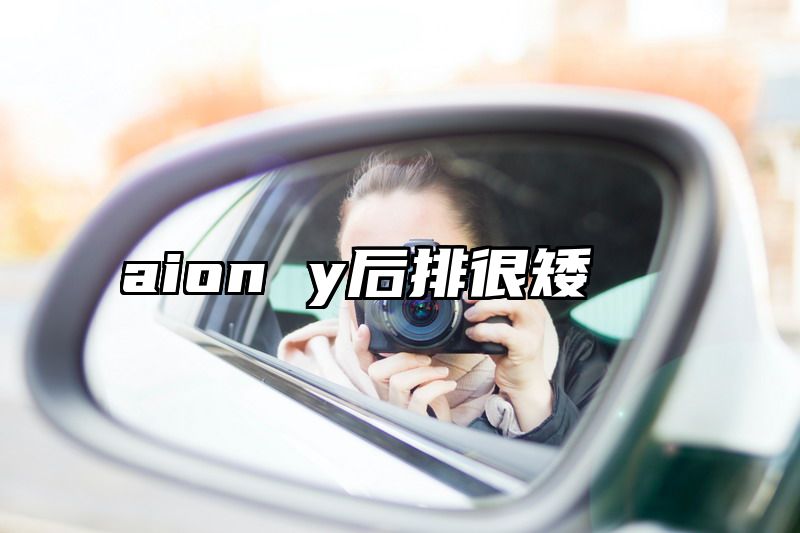 aion y后排很矮