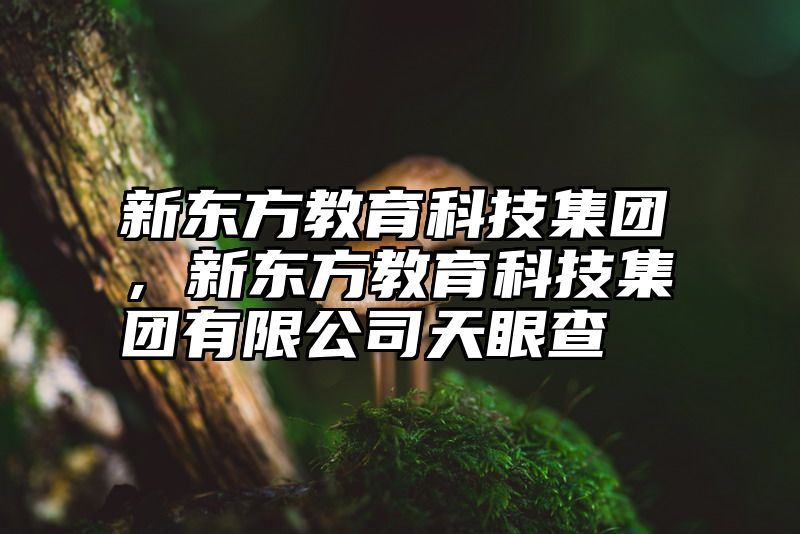 新东方教育科技集团，新东方教育科技集团有限公司天眼查