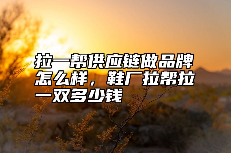 拉一帮供应链做品牌怎么样，鞋厂拉帮拉一双多少钱