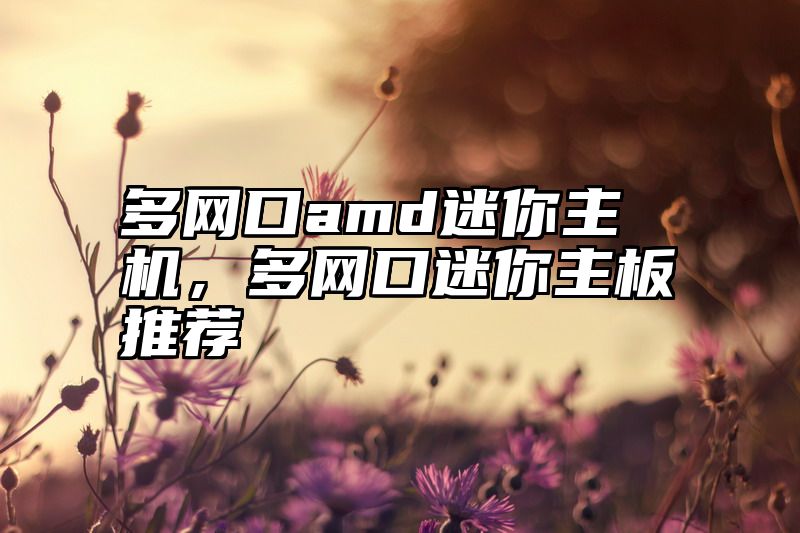 多网口amd迷你主机，多网口迷你主板推荐