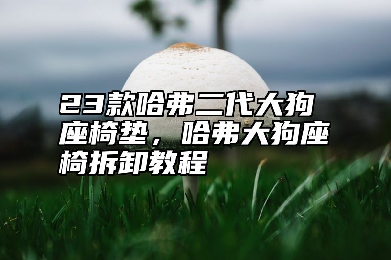 点击查看《23款哈弗二代大狗座椅垫,哈弗大狗座椅拆卸教程》全文