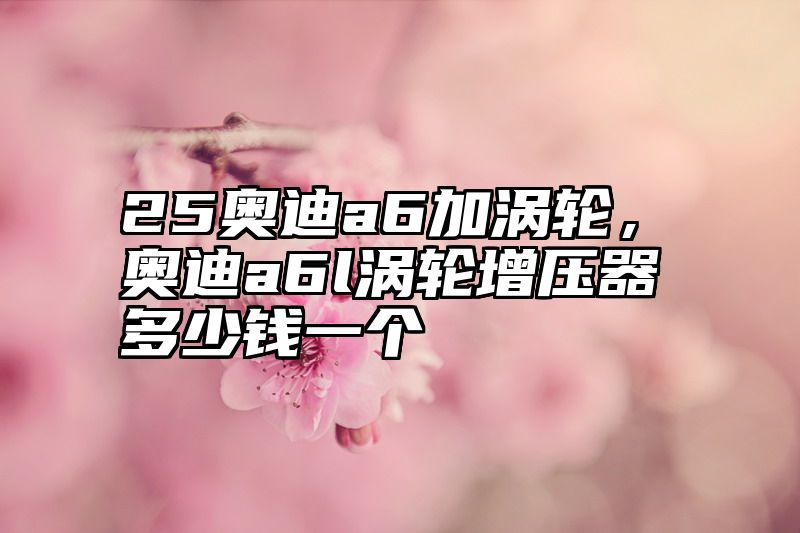 点击查看《25奥迪a6加涡轮,奥迪a6l涡轮增压器多少钱一个》全文