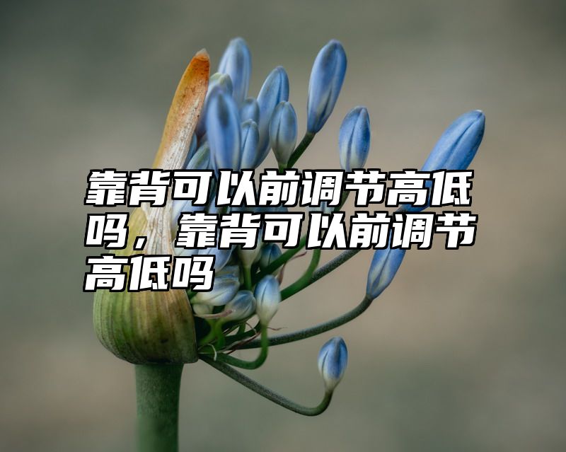 靠背可以前调节高低吗，靠背可以前调节高低吗