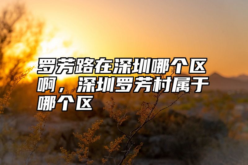 罗芳路在深圳哪个区啊，深圳罗芳村属于哪个区