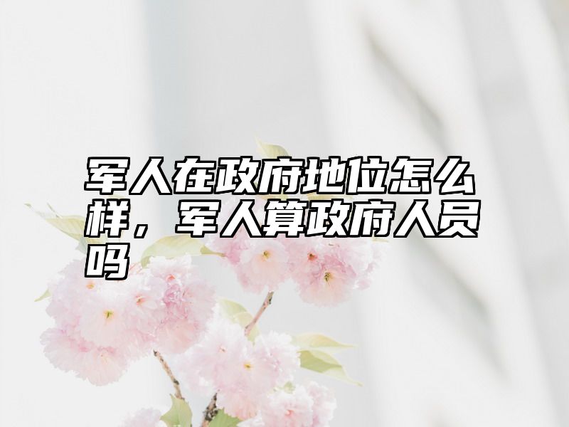 军人在政府地位怎么样，军人算政府人员吗