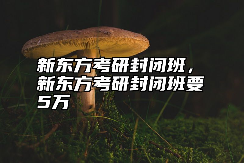 新东方考研封闭班，新东方考研封闭班要5万