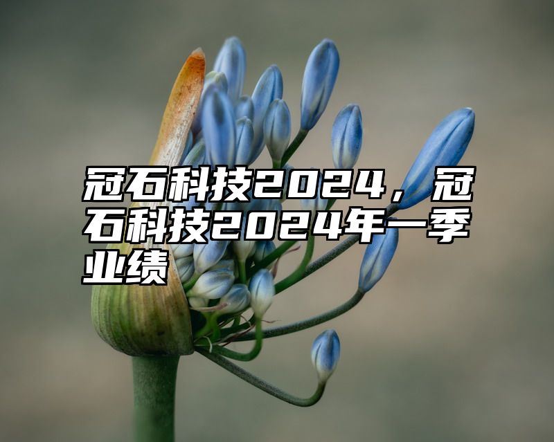 冠石科技2024，冠石科技2024年一季业绩