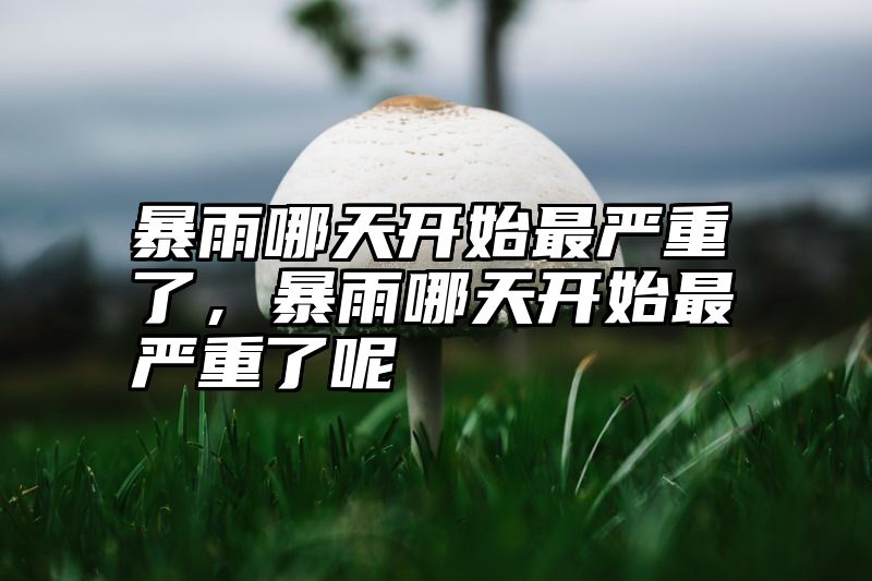 暴雨哪天开始最严重了，暴雨哪天开始最严重了呢