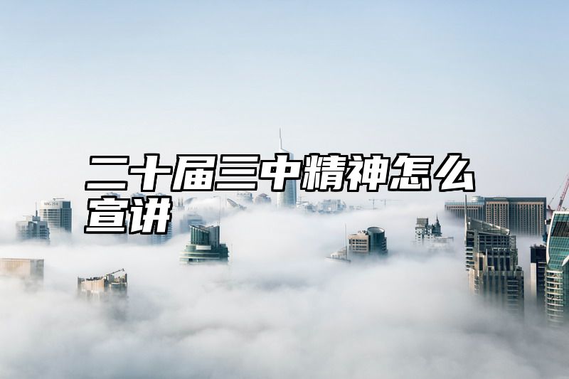 二十届三中精神怎么宣讲