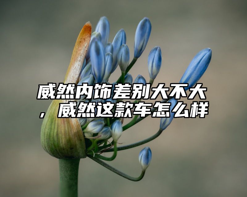 威然内饰差别大不大，威然这款车怎么样