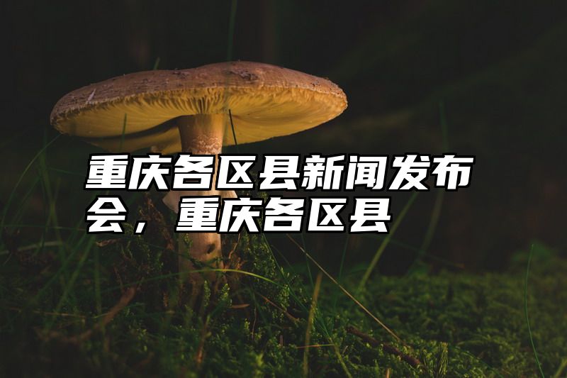 重庆各区县新闻发布会，重庆各区县