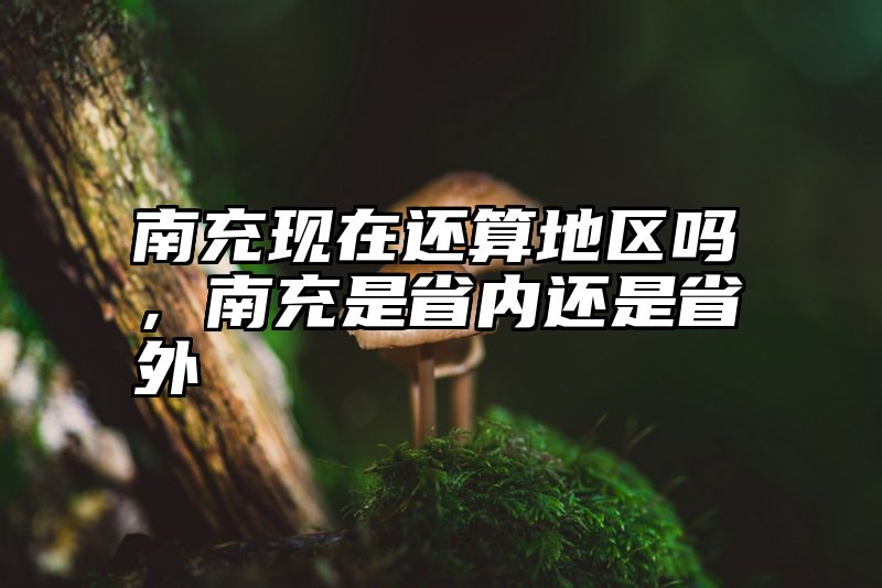 南充现在还算地区吗，南充是省内还是省外