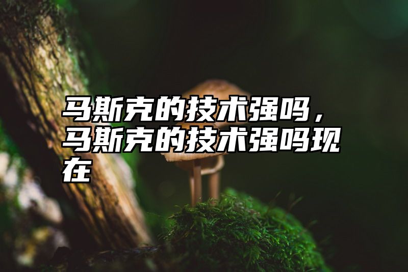 马斯克的技术强吗，马斯克的技术强吗现在