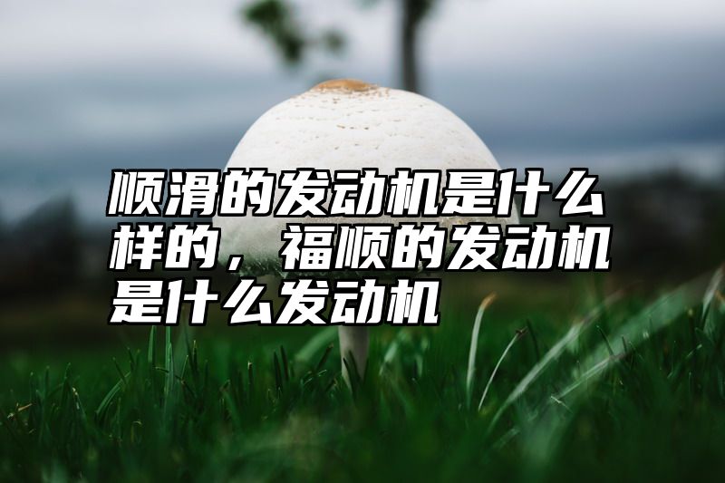 点击查看《顺滑的发动机是什么样的,福顺的发动机是什么发动机》全文