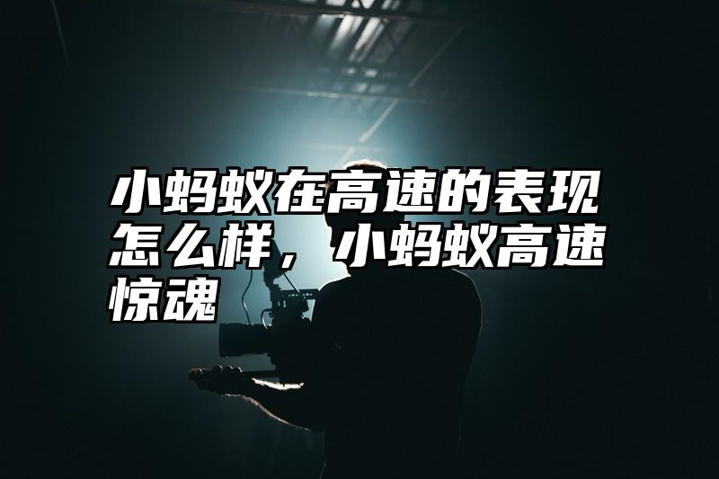小蚂蚁在高速的表现怎么样，小蚂蚁高速惊魂