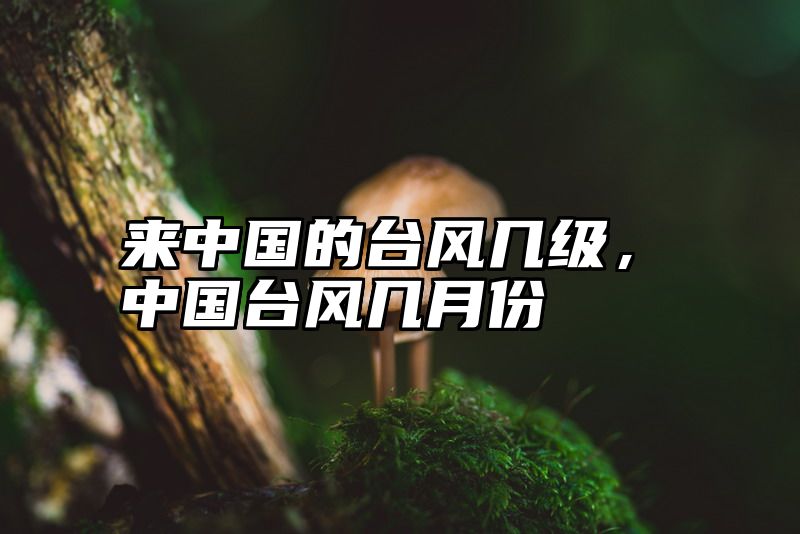 来中国的台风几级，中国台风几月份