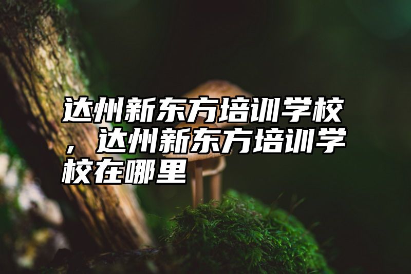 达州新东方培训学校，达州新东方培训学校在哪里