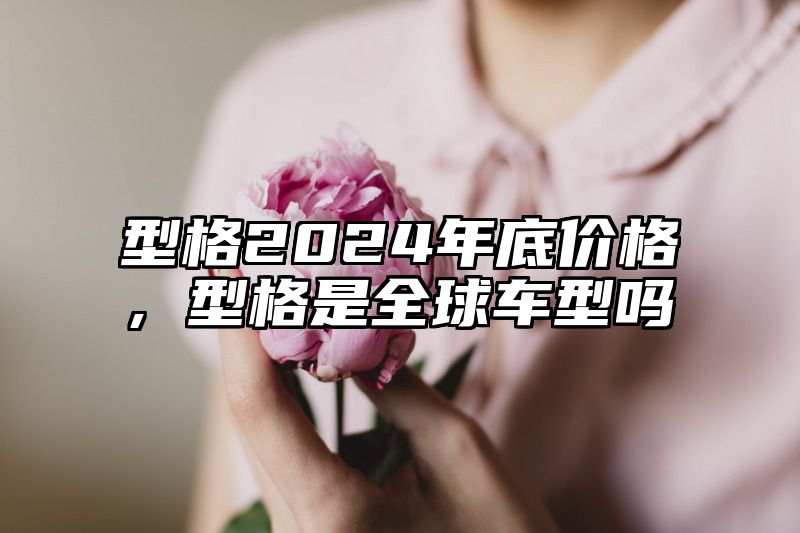 型格2024年底价格，型格是全球车型吗