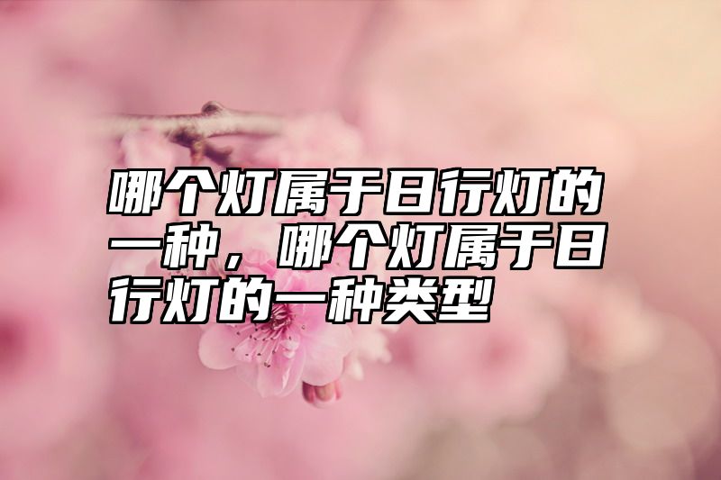 哪个灯属于日行灯的一种，哪个灯属于日行灯的一种类型