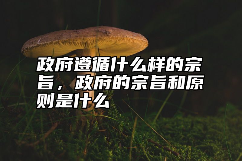 政府遵循什么样的宗旨，政府的宗旨和原则是什么