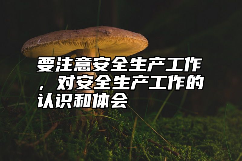 要注意安全生产工作，对安全生产工作的认识和体会