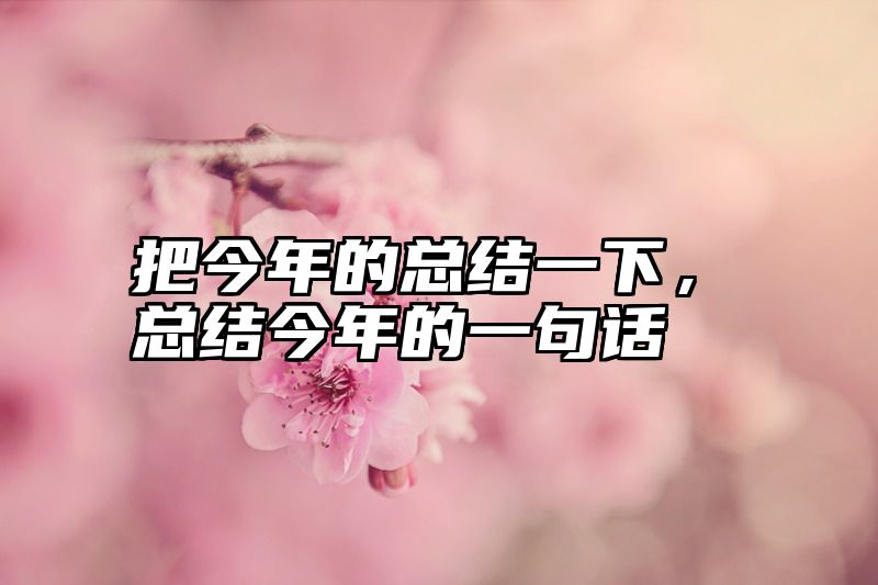 把今年的总结一下，总结今年的一句话