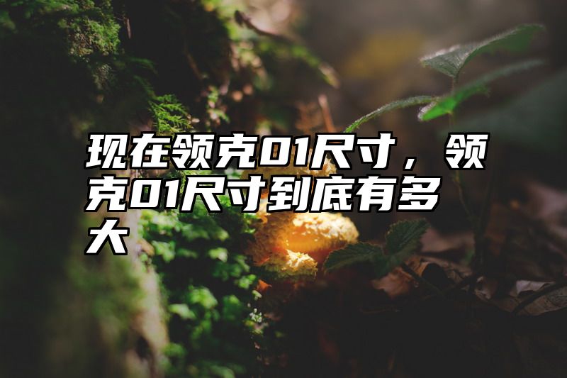 现在领克01尺寸，领克01尺寸到底有多大