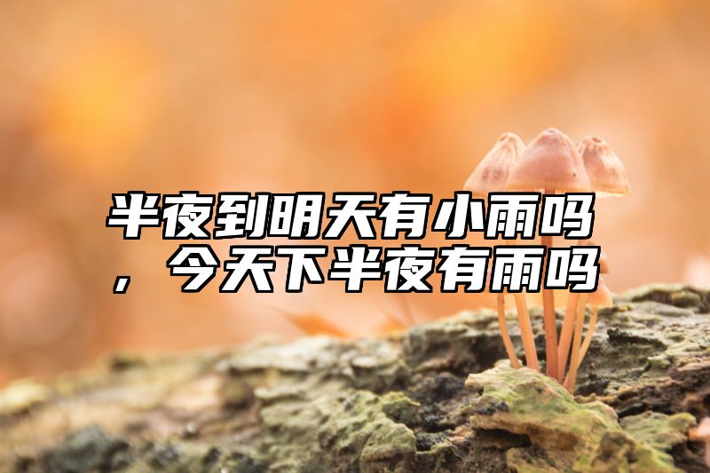 半夜到明天有小雨吗，今天下半夜有雨吗